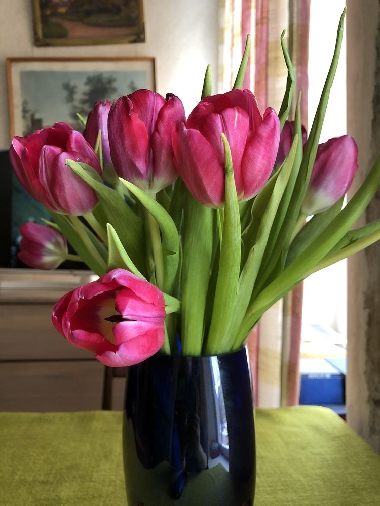 Photograph by Мария Бессмертная