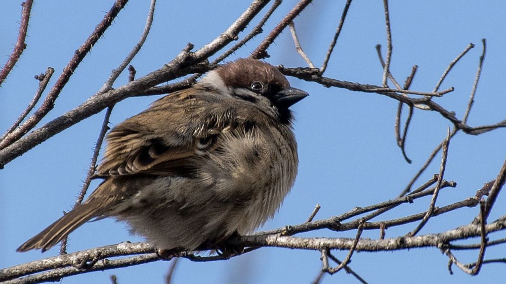 Photograph by Людмила Железнова