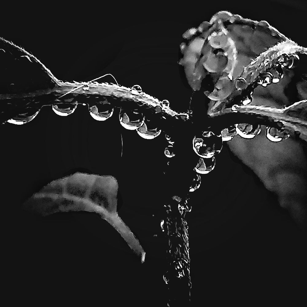 Photograph by The Inna