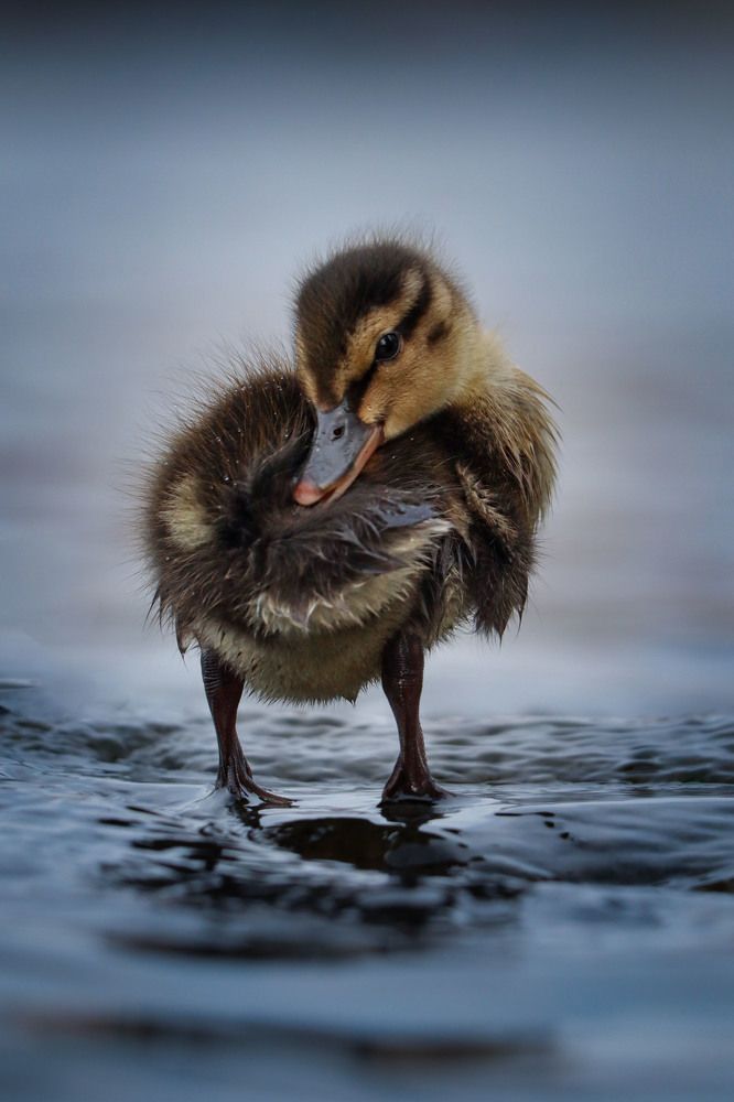 Photograph by Markéta Mastešová