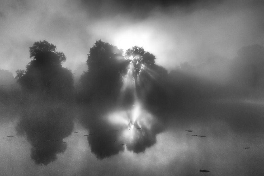 Photograph by Анна Соколова