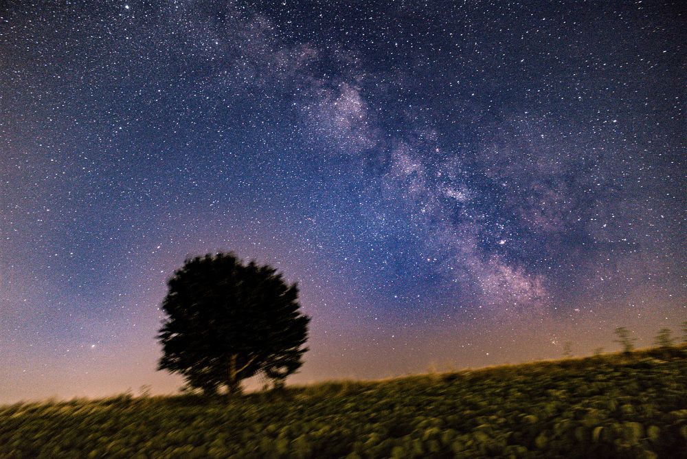 Photograph by Vlad Badau