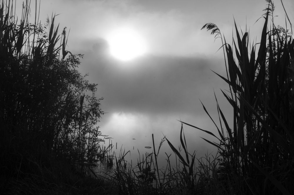 Photograph by Анна Соколова