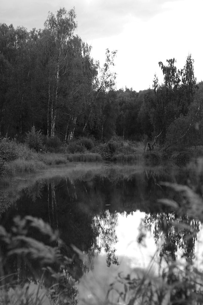 Photograph by Юрий Коротков