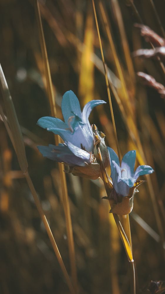Photograph by Дмитрий Фадеев