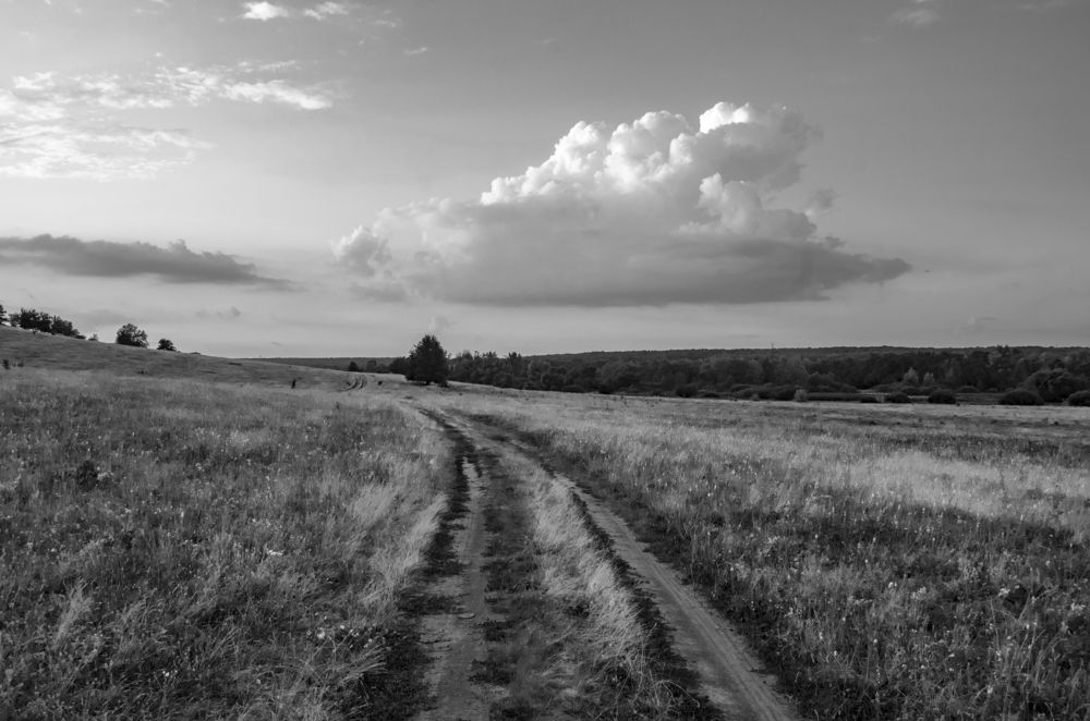 Photograph by Анна Соколова