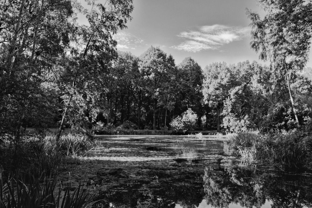 Photograph by Дмитрий