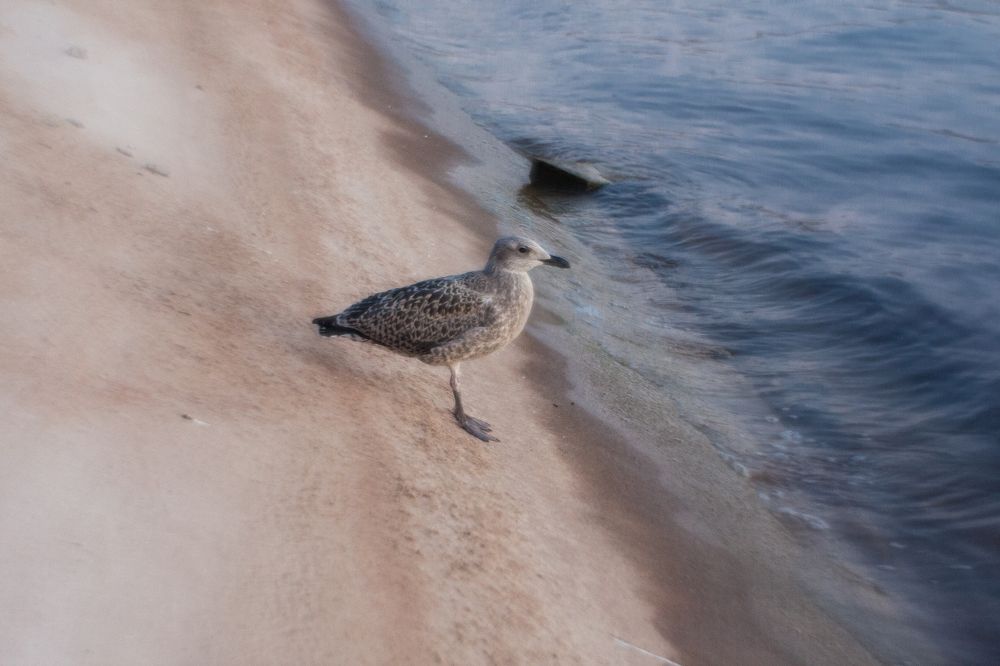 Photograph by Надежда