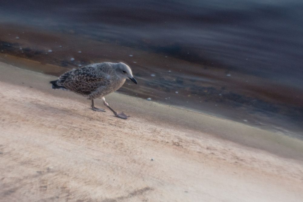 Photograph by Надежда