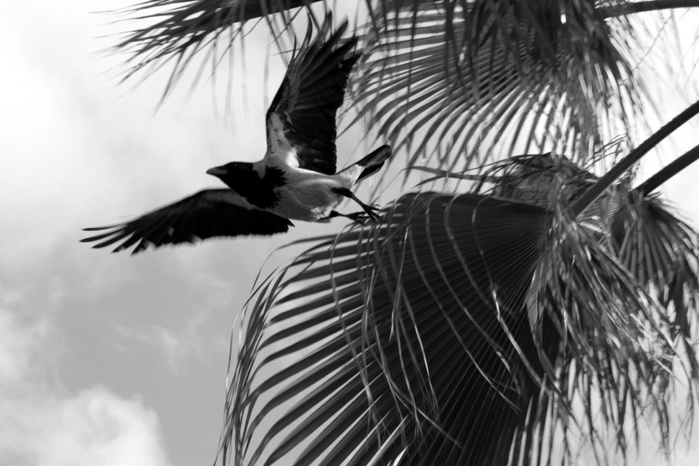 Photograph by Игорь