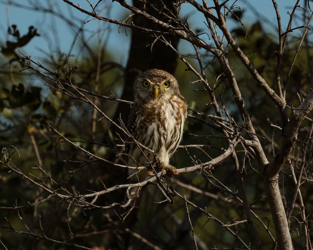 Photograph by Cheri Marks