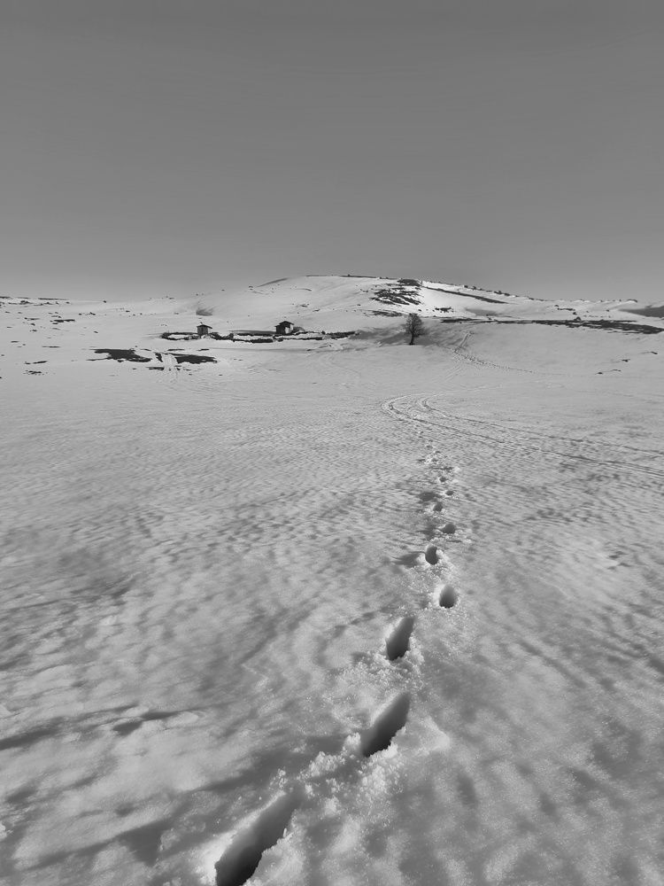 Photograph by Masoumeh Rahimi