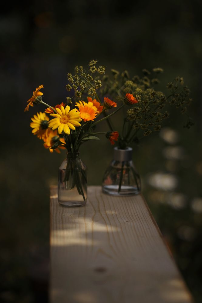 Photograph by Ирина Ксензова