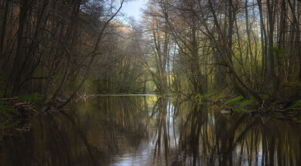 По закоулкам Вашаны