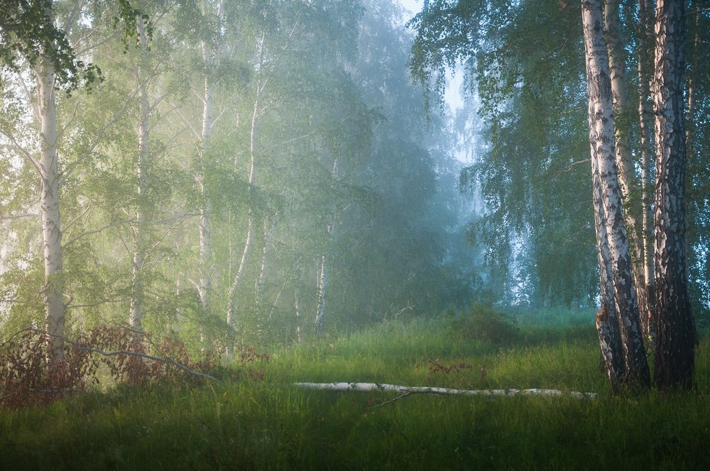 Photograph by Илья Толстоноженко