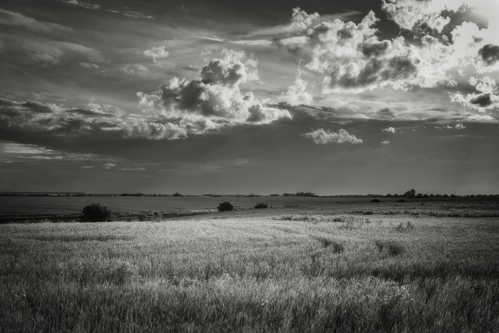 Фотография автора Константин Яковлев