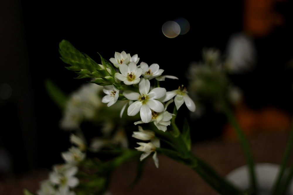 Photograph by Mikhail Levin