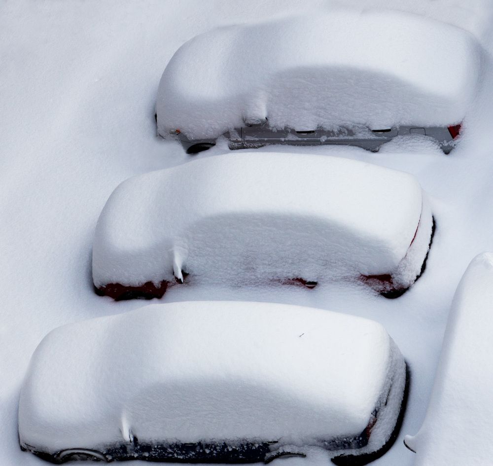 Photograph by Marius Olbosan