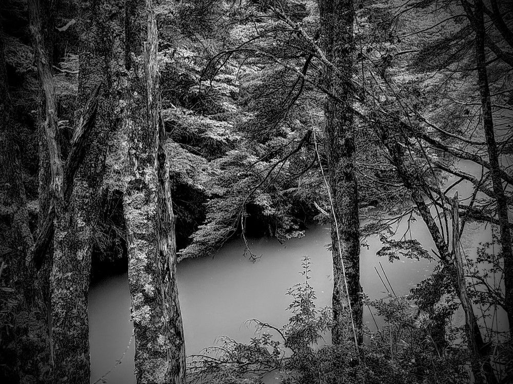 Фотография автора Cristina Wnetrzak