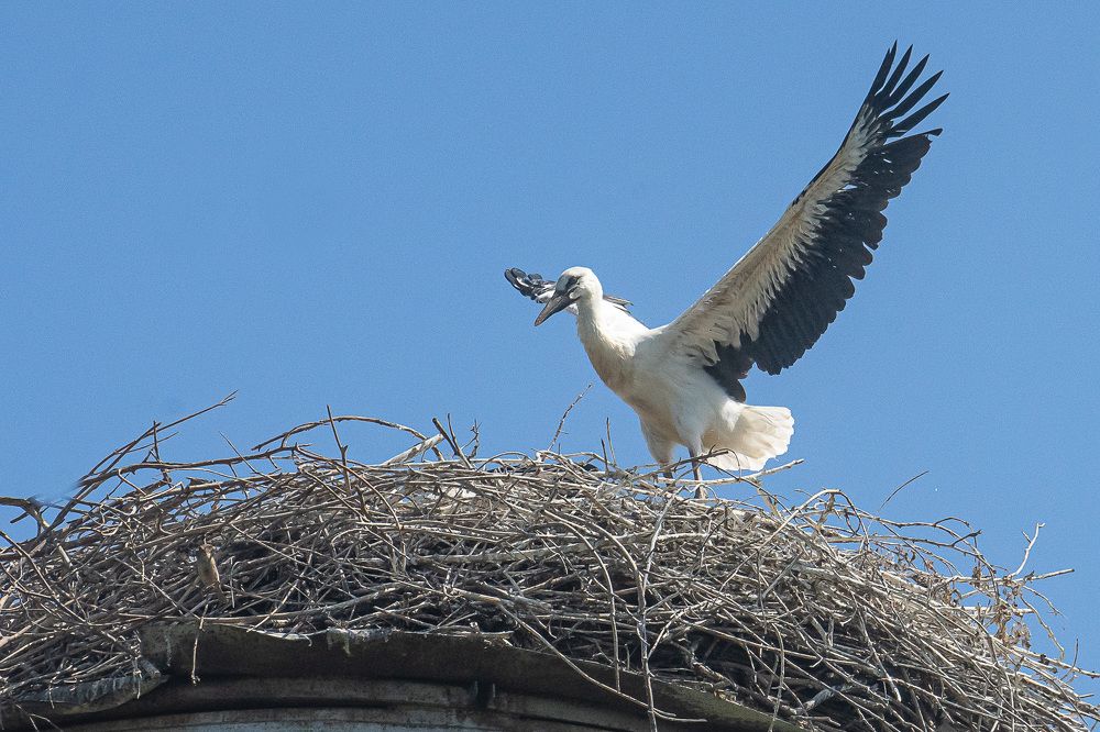 Фотография автора Николай Бологов