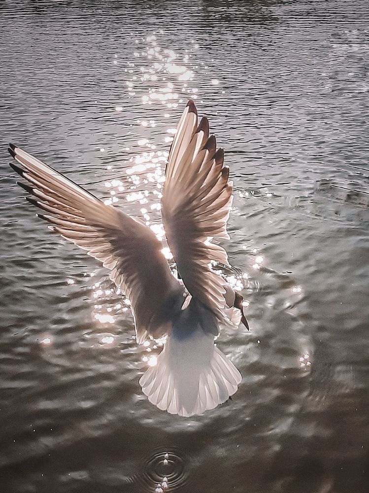 Photograph by Оксана Борисевич