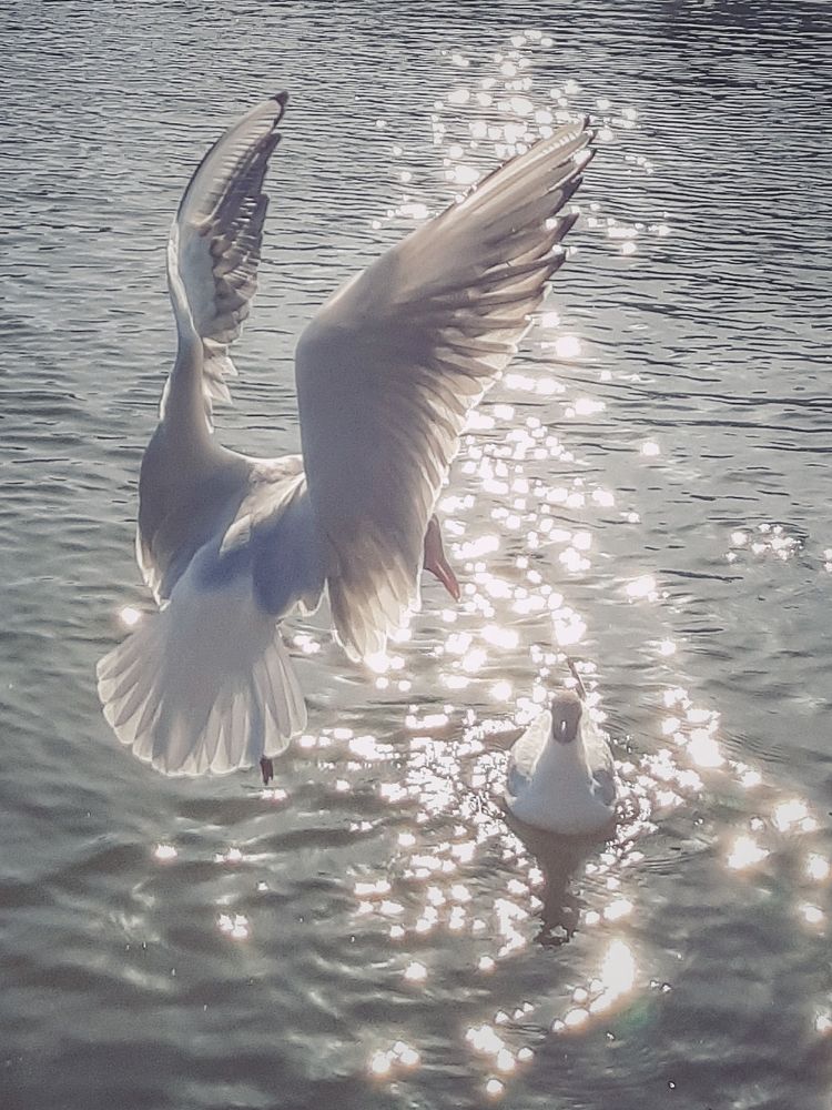 Photograph by Оксана Борисевич