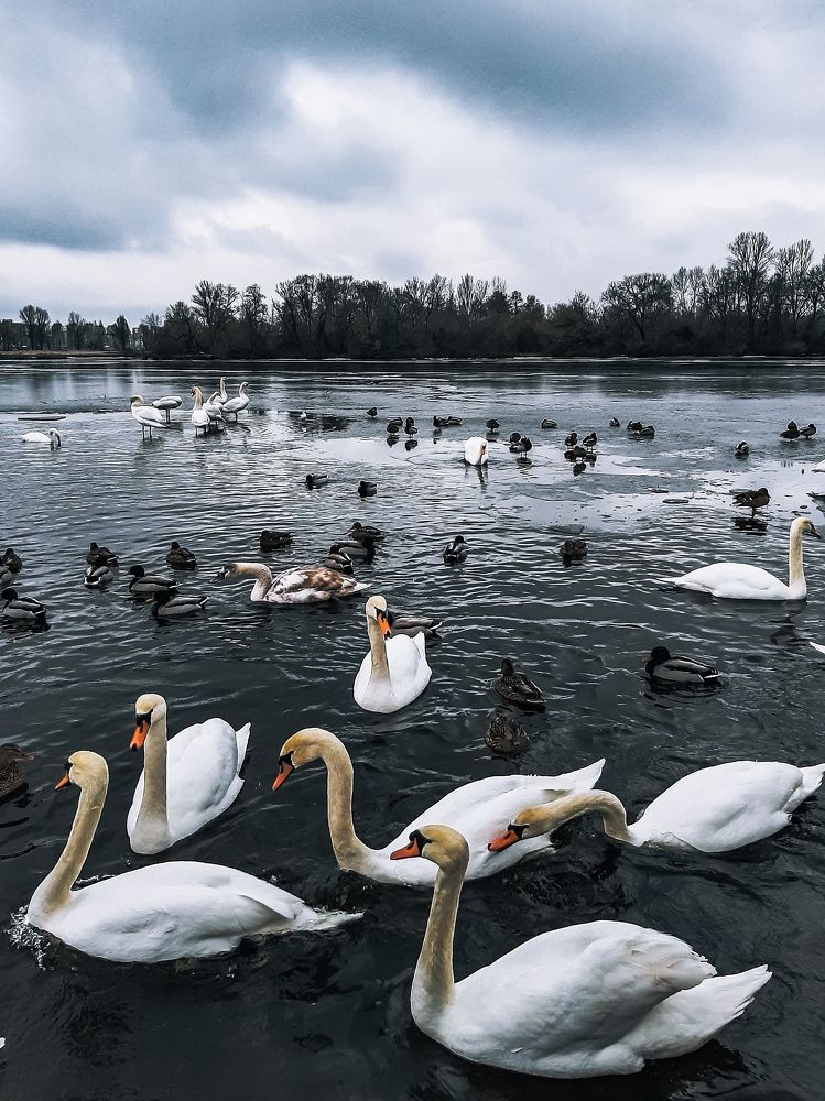 Photograph by Оксана Борисевич