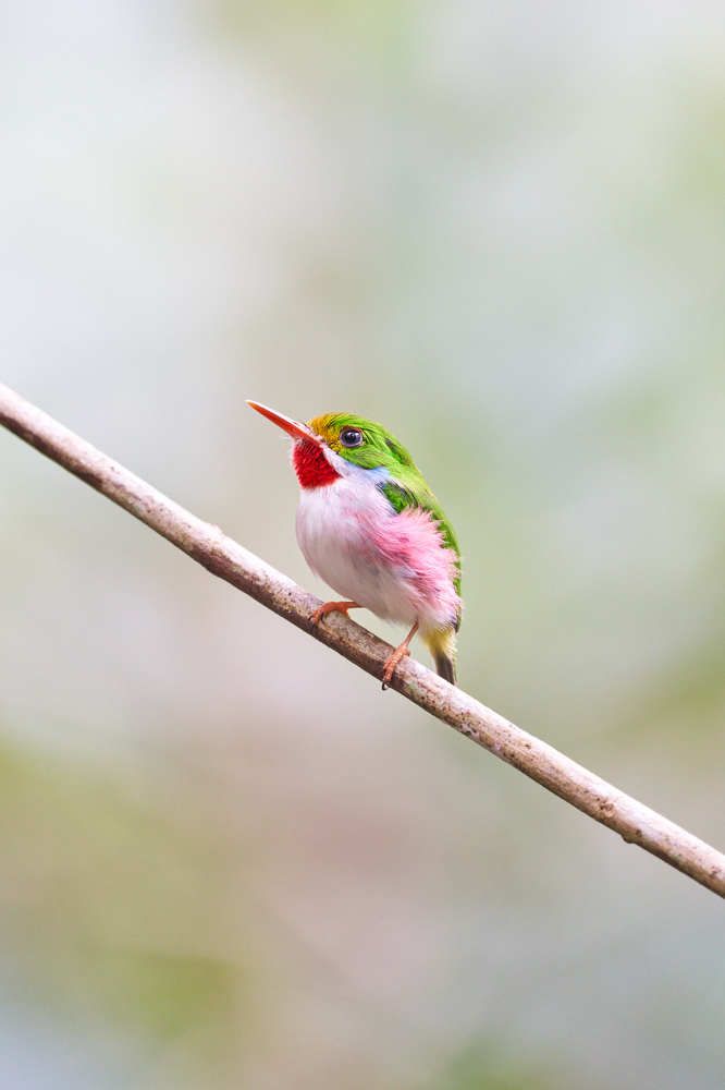 Photograph by Carlos Manuel Peguero Gomez