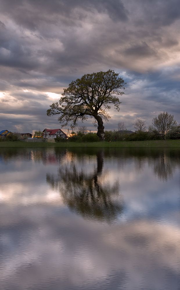 Photograph by Marius Olbosan