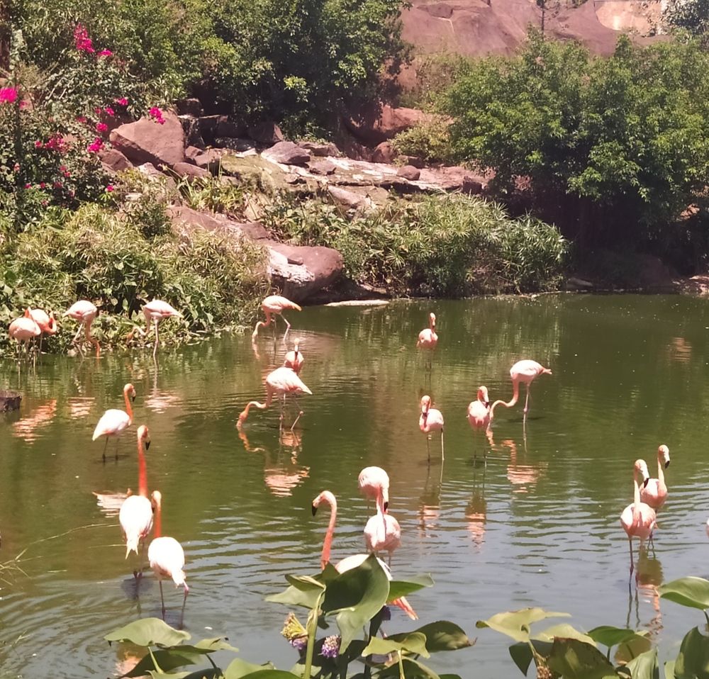 Photograph by Надежда