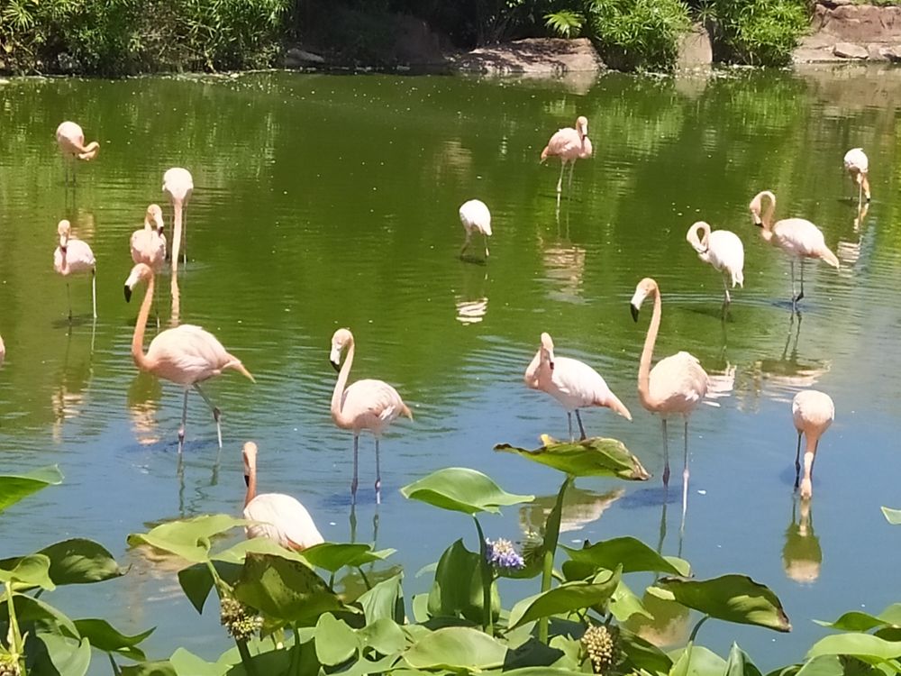 Photograph by Надежда