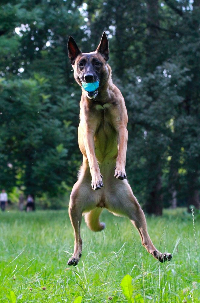 Фотография автора Анна Яковенко