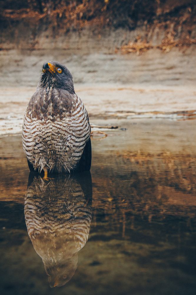 Photograph by Michell Brit