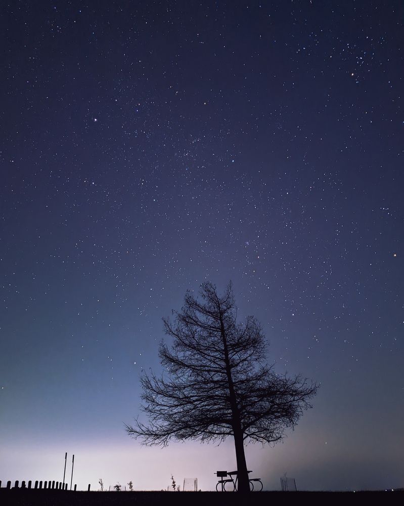 Photograph by Manish Jana