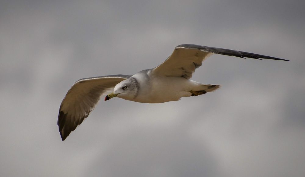 Photograph by Олег Волков