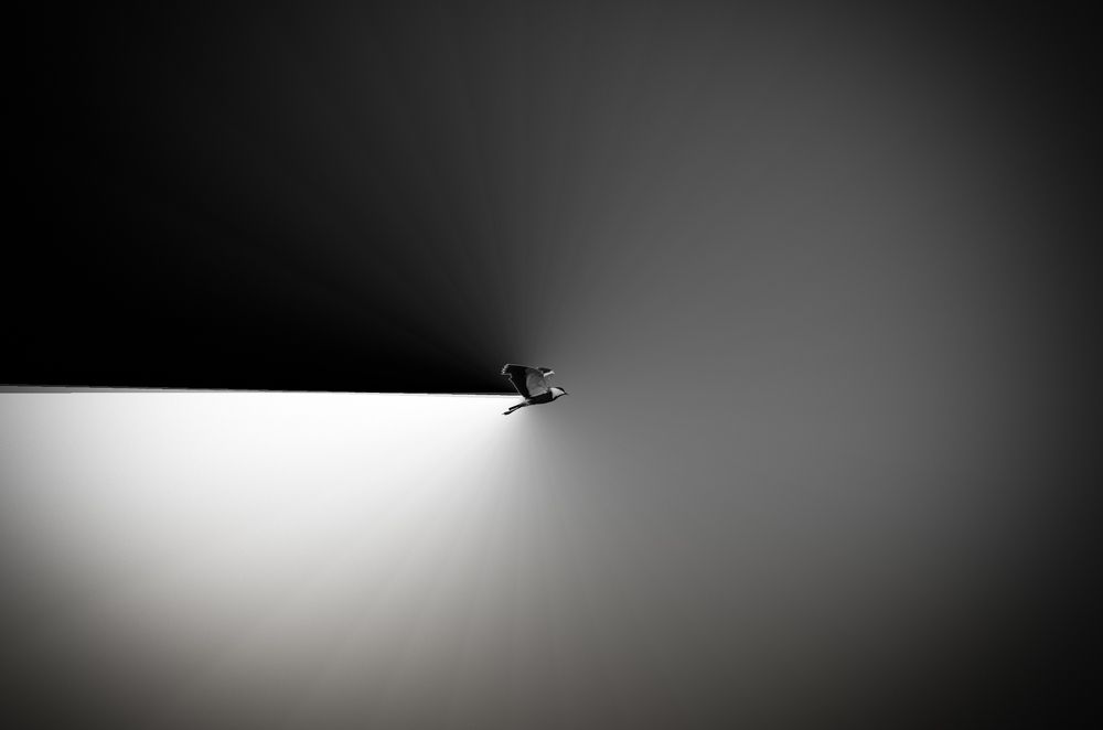 Photograph by Algali Ibrahim