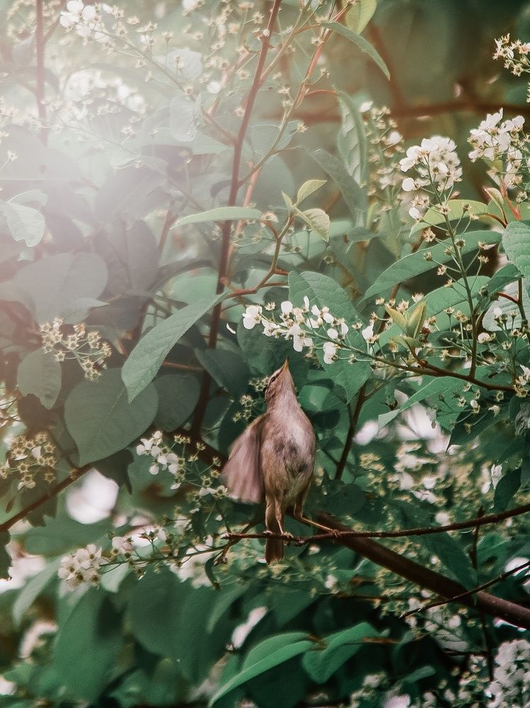 Photograph by Вероника Романенко