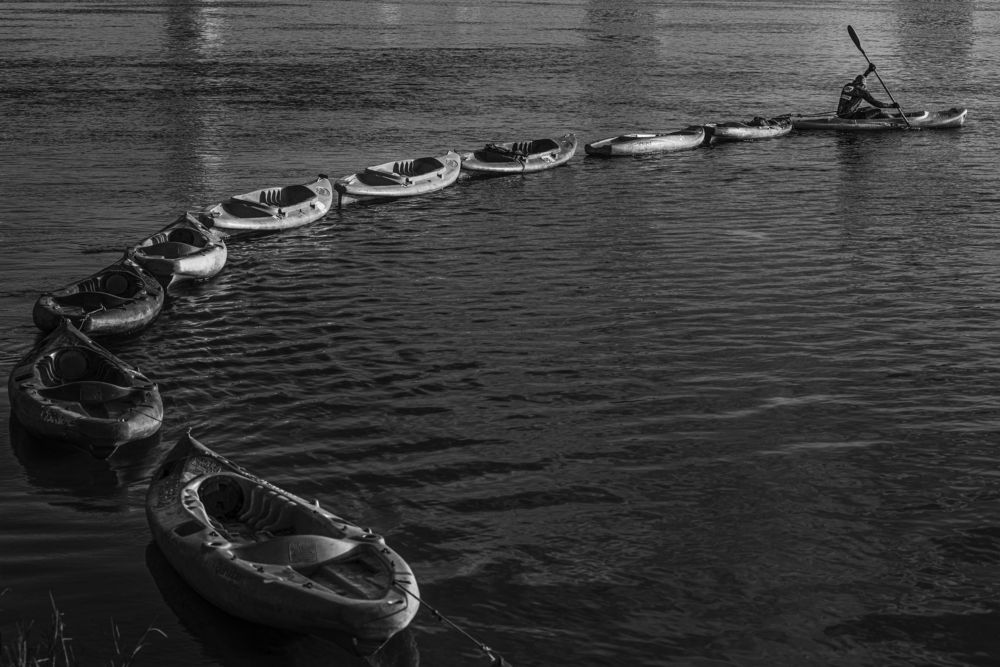 Photograph by Marden Acampora