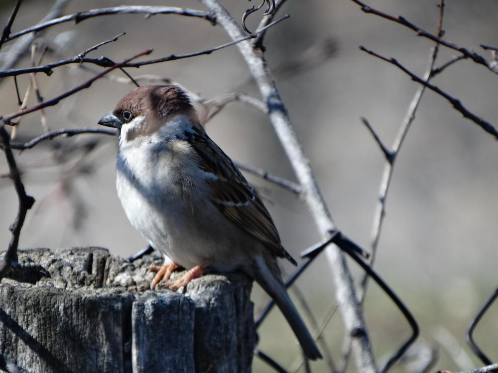 Photograph by Надежда Батракова
