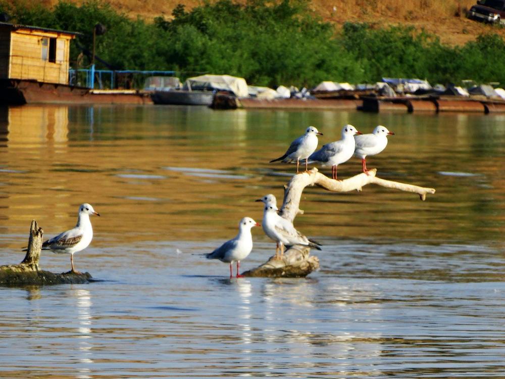 Photograph by Надежда Батракова