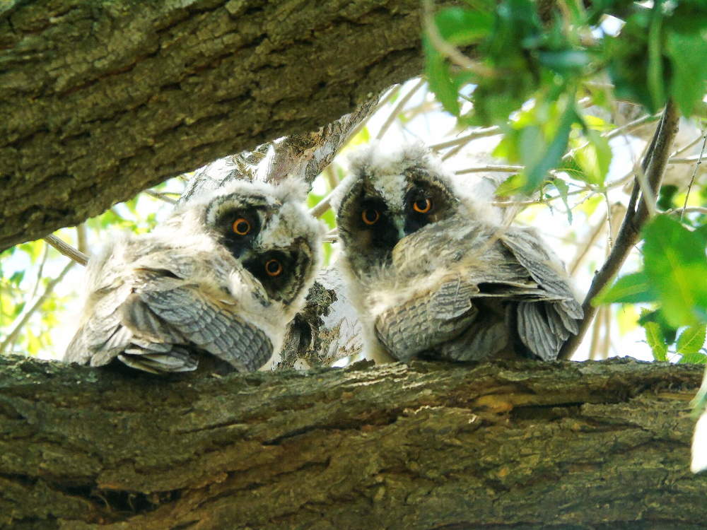 Photograph by Надежда Батракова