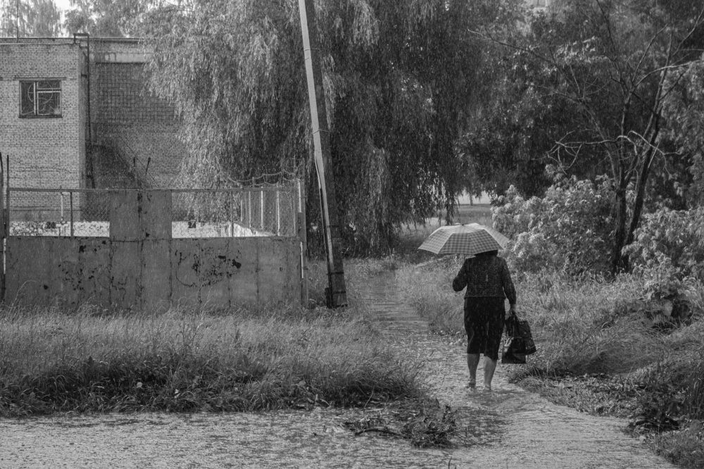 Photograph by Алексей Борисов