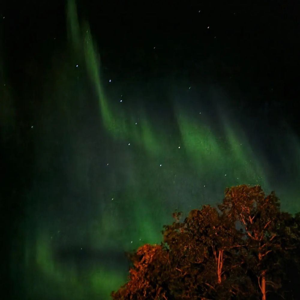 Фотография автора Al