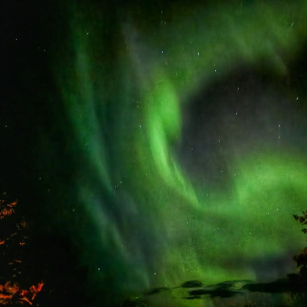 Фотография автора Al