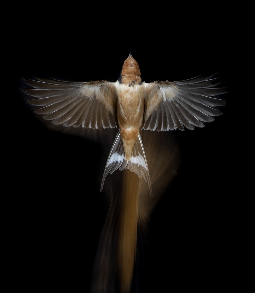 Photograph by Esteban Argerich