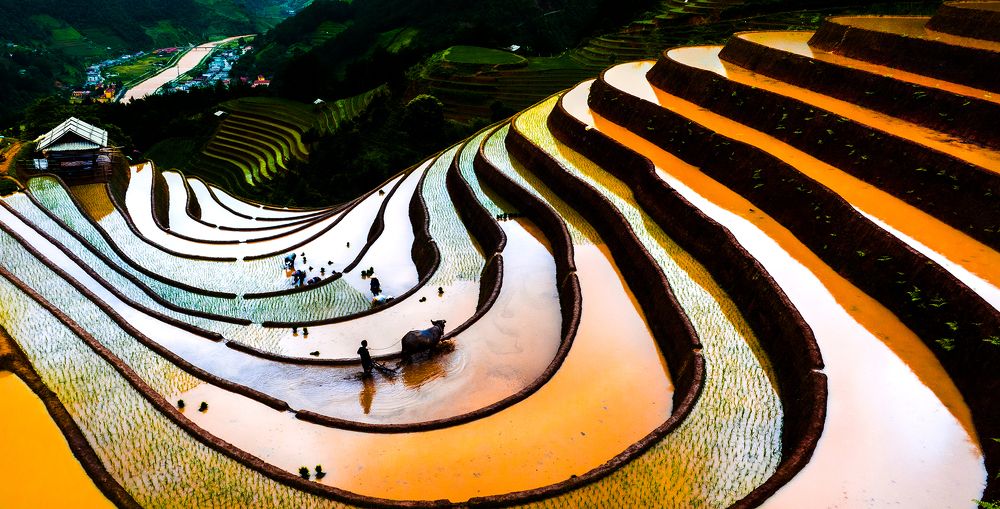 Photograph by Hải Nguyễn