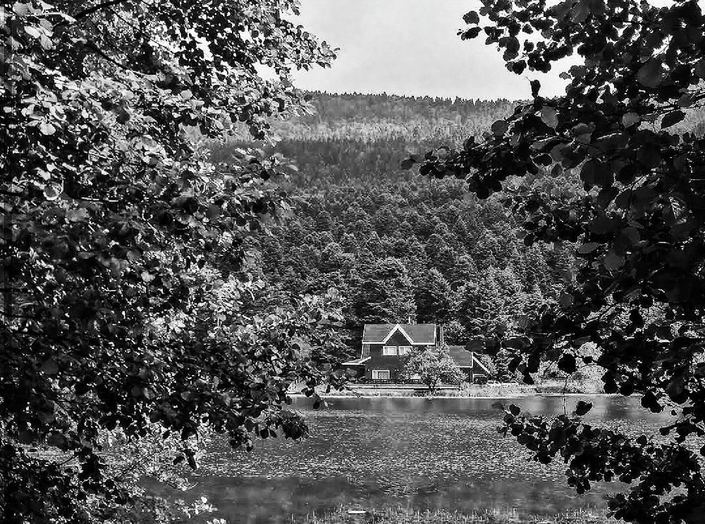 Photograph by Shaiban Albasha