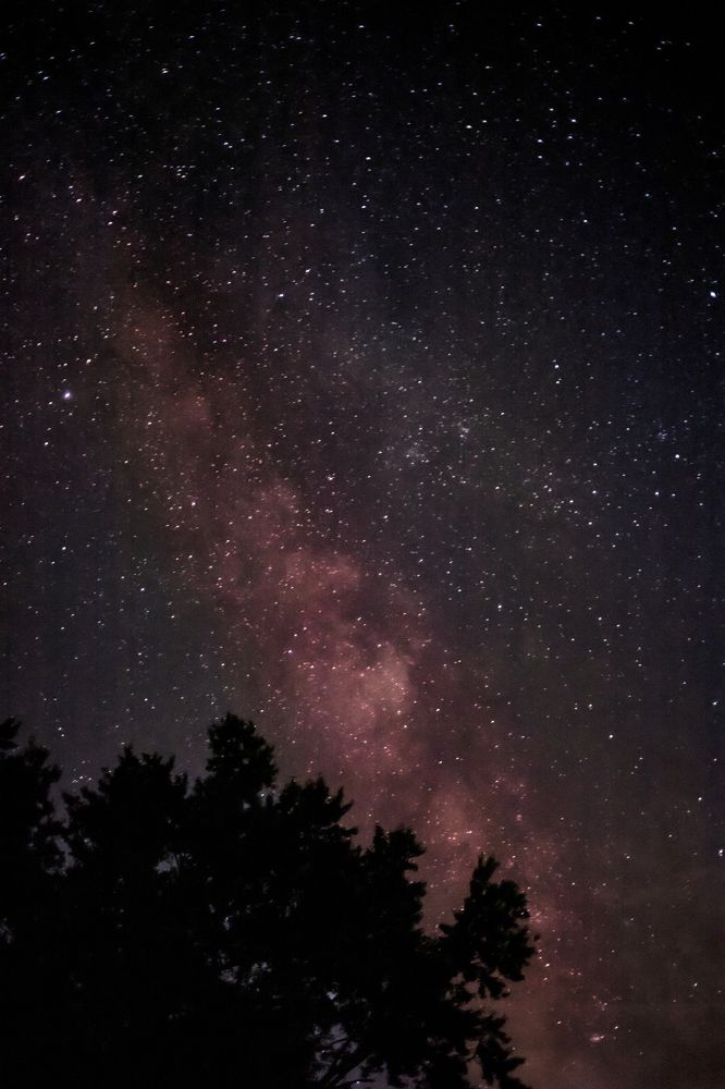 Photograph by Heather Wilson