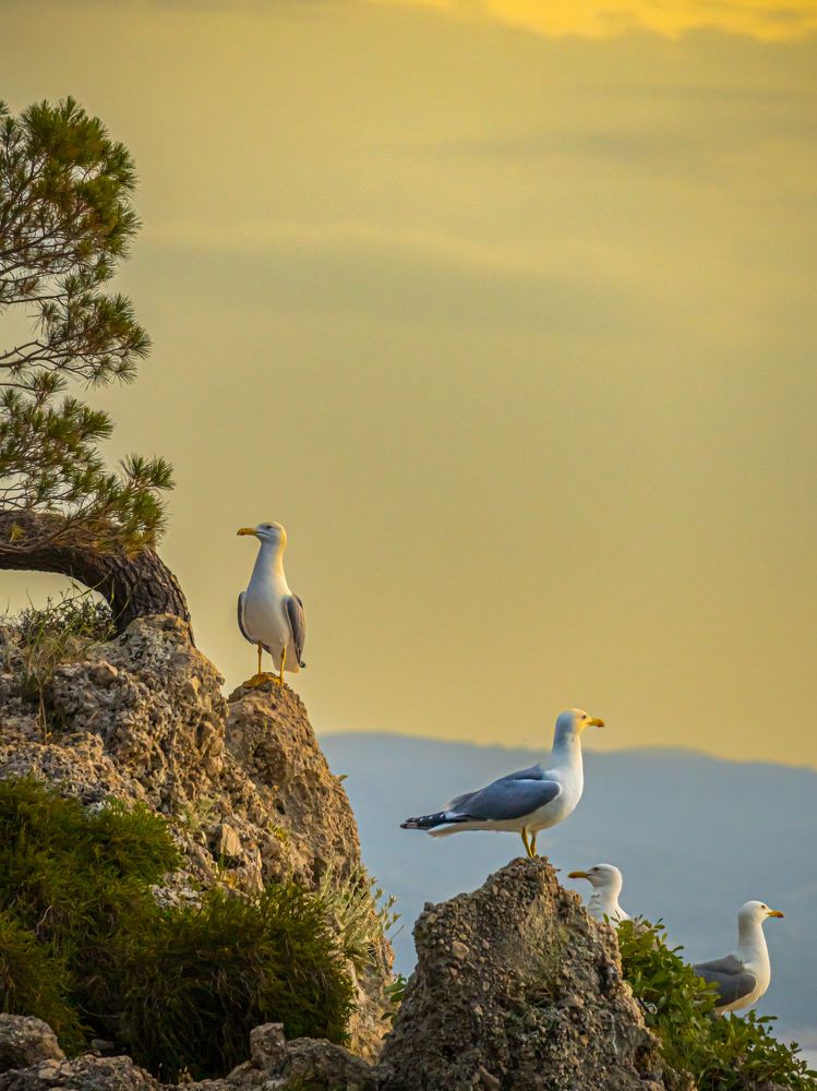 Photograph by Valdis Serzhans