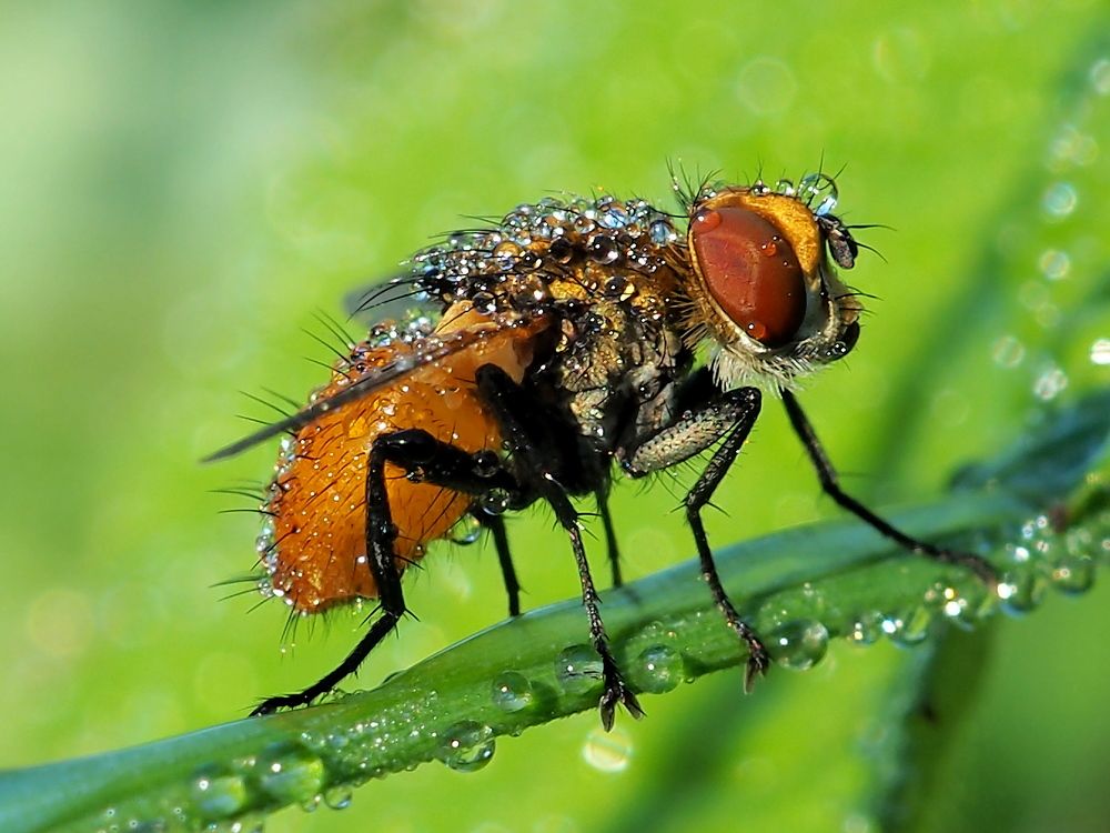 Photograph by Елена Харитонова